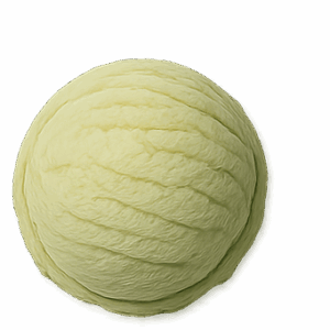 Pista